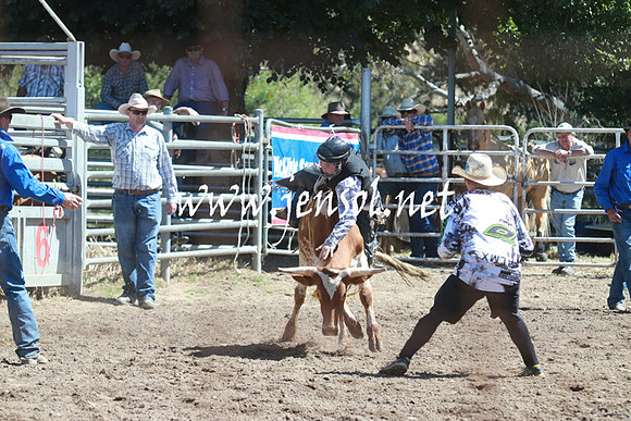 GundagaiRodeo_0806