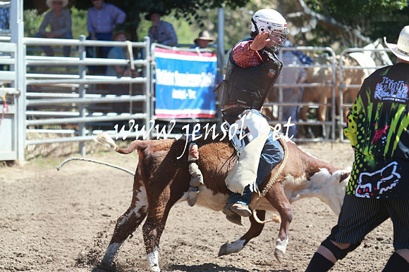 GundagaiRodeo_0738