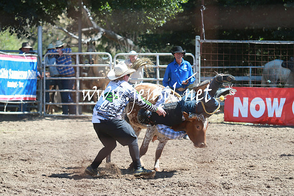 GundagaiRodeo_0812