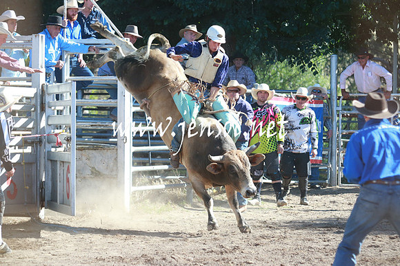 GundagaiRodeo_1162