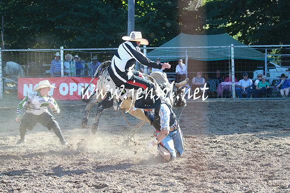GundagaiRodeo_1335