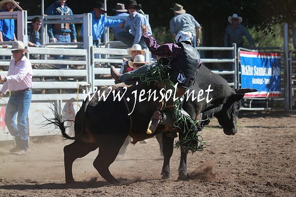 GundagaiRodeo_1116