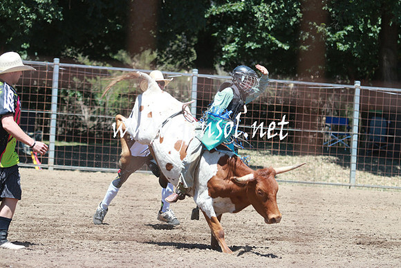 GundagaiRodeo_0046