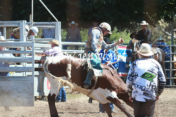 GundagaiRodeo_0826