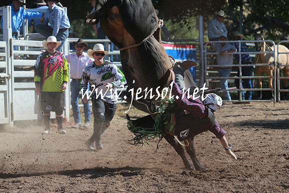 GundagaiRodeo_1120