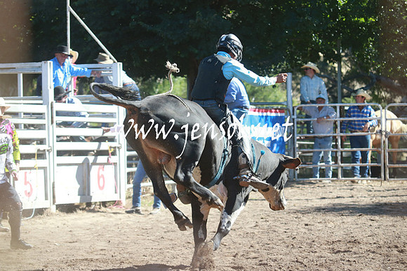 GundagaiRodeo_1128