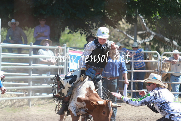 GundagaiRodeo_0791