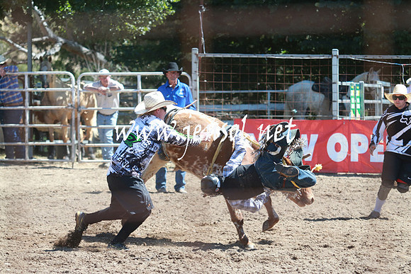 GundagaiRodeo_0815