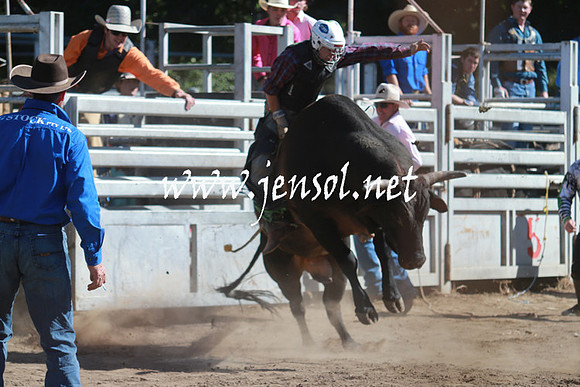 GundagaiRodeo_1110