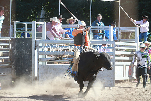 GundagaiRodeo_1090