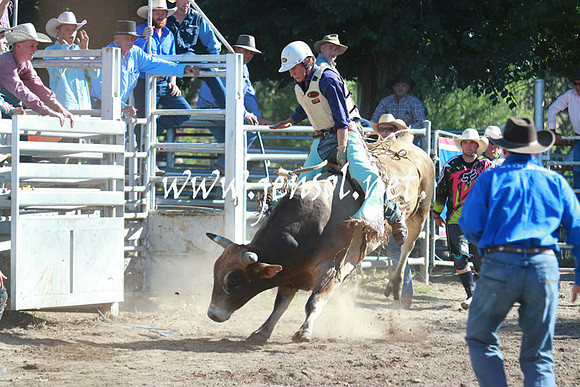 GundagaiRodeo_1166
