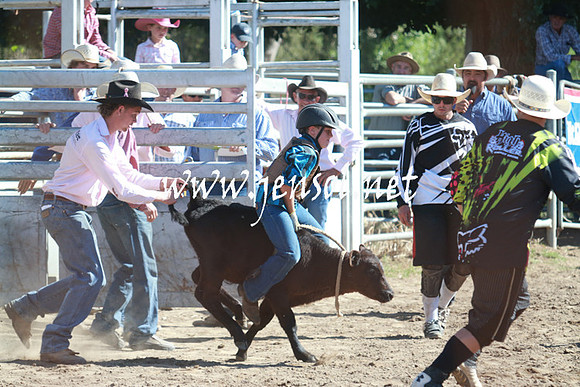 GundagaiRodeo_1060