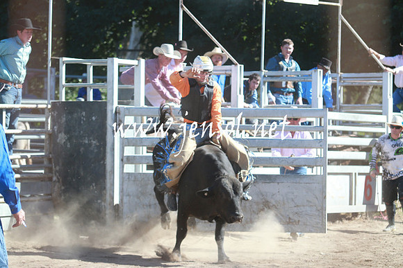 GundagaiRodeo_1088