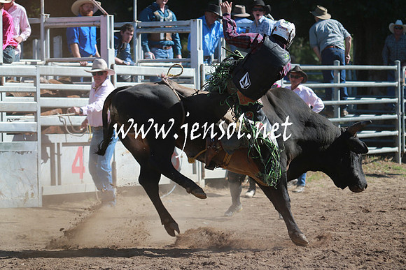 GundagaiRodeo_1114