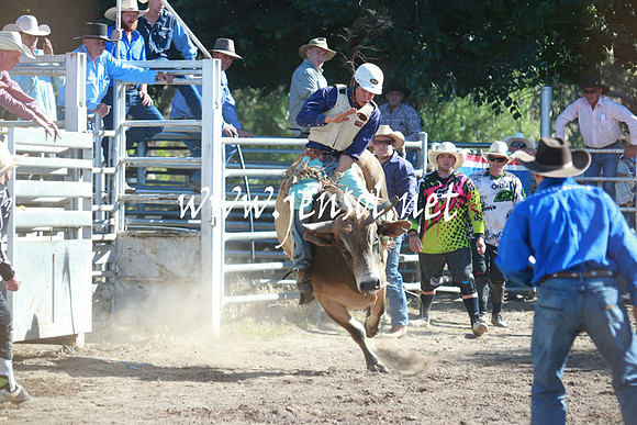 GundagaiRodeo_1165