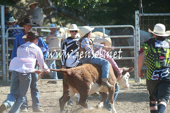 GundagaiRodeo_1084
