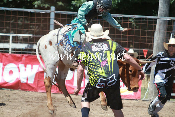 GundagaiRodeo_0040
