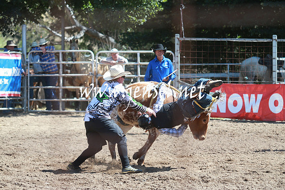 GundagaiRodeo_0813