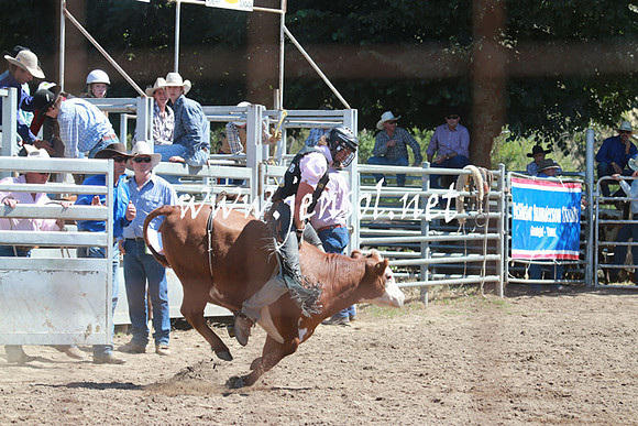 GundagaiRodeo_0847