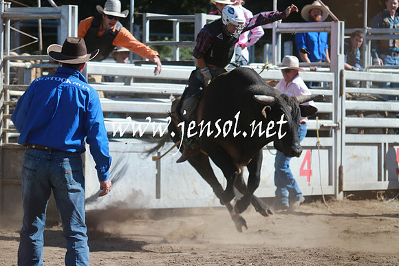 GundagaiRodeo_1109