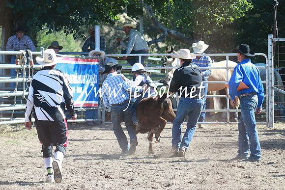 GundagaiRodeo_1042