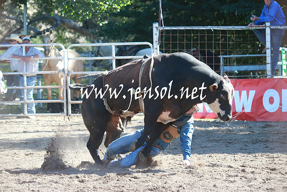 GundagaiRodeo_1144