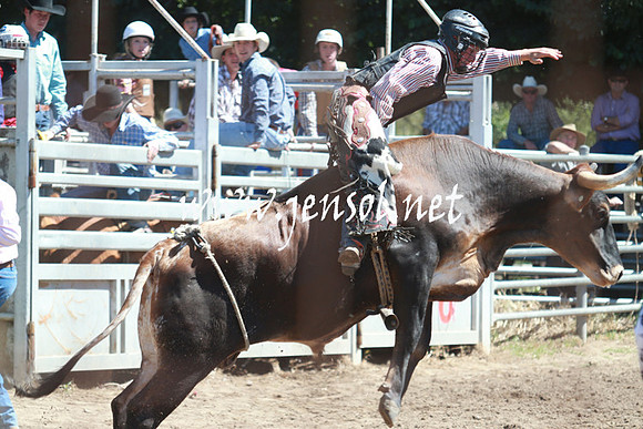 GundagaiRodeo_0837