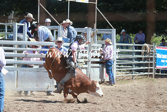 GundagaiRodeo_0845