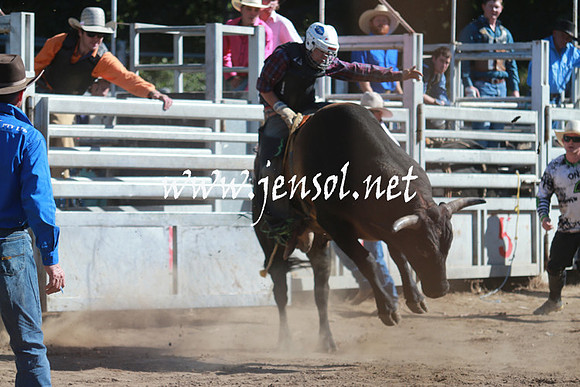 GundagaiRodeo_1111