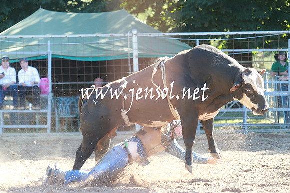 GundagaiRodeo_1148