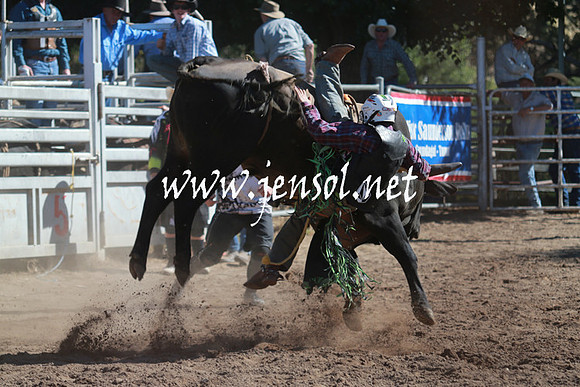 GundagaiRodeo_1118