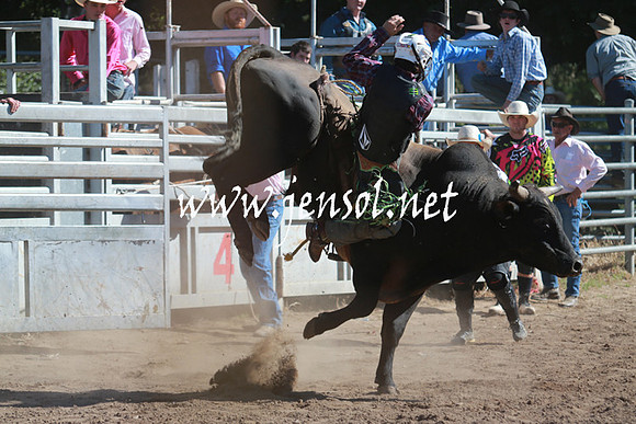 GundagaiRodeo_1112