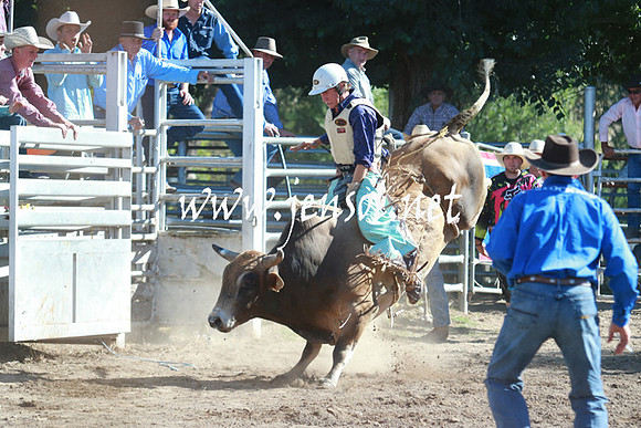 GundagaiRodeo_1167