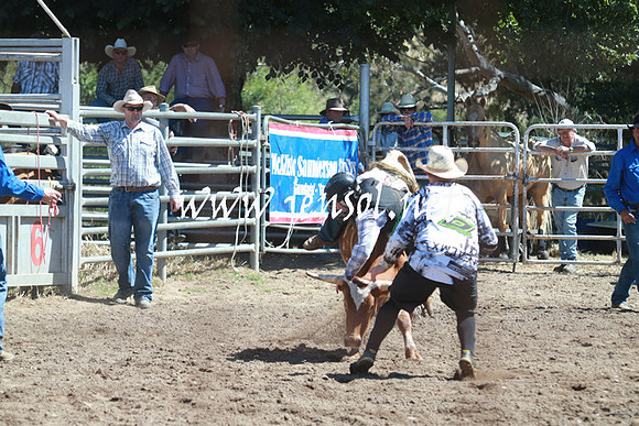 GundagaiRodeo_0808