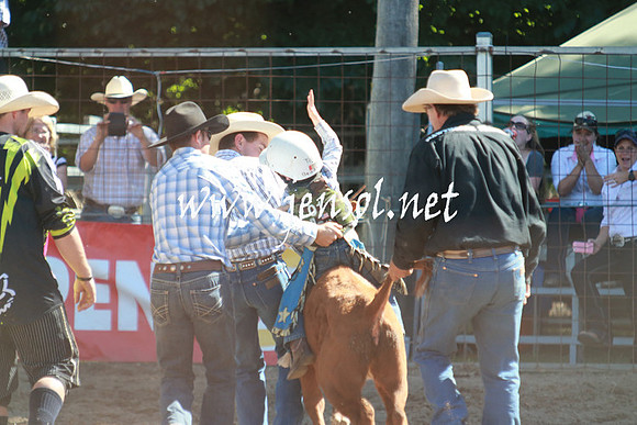 GundagaiRodeo_1027