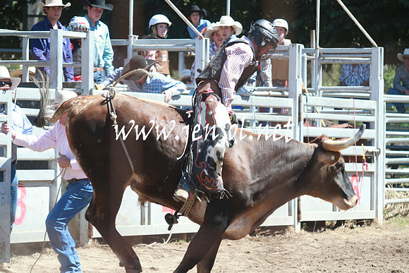GundagaiRodeo_0835