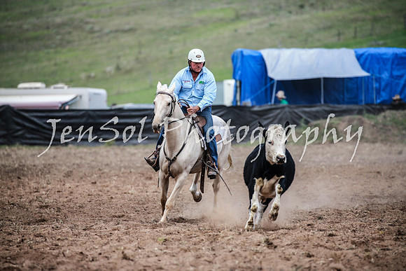 CabanandraCampdraft2016_5099