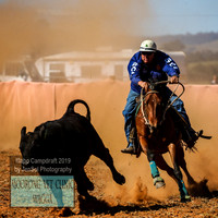 IllaboCampdraft1_1767