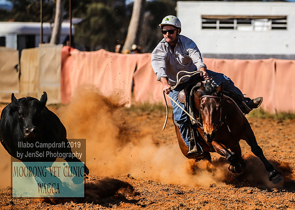 IllaboCampdraft1_1864