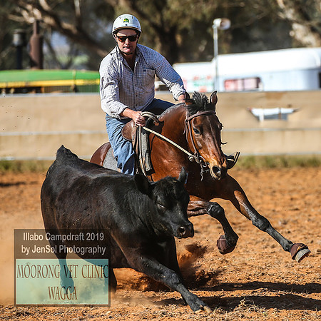 IllaboCampdraft1_2304