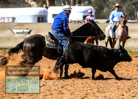 IllaboCampdraft1_1881