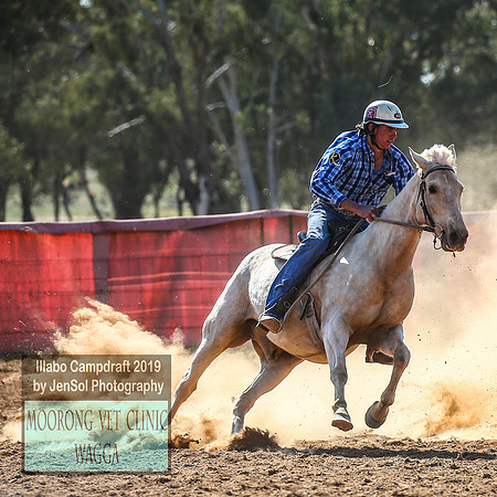 IllaboCampdraft1_2116