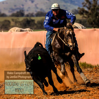 IllaboCampdraft1_1889