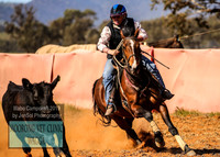 IllaboCampdraft1_1799