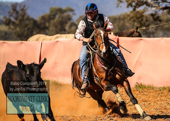 IllaboCampdraft1_1799