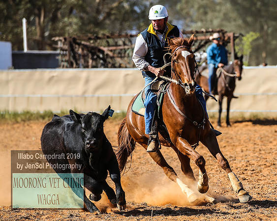 IllaboCampdraft1_2149