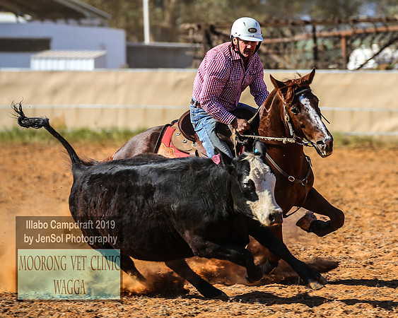IllaboCampdraft1_2182