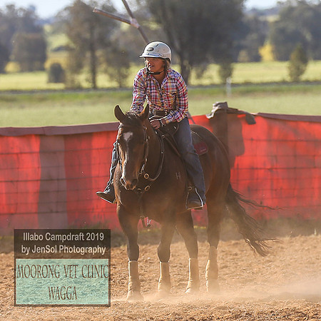 IllaboCampdraft1_2273