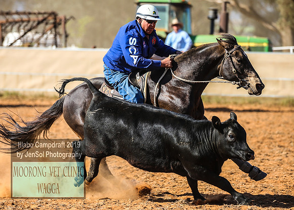 IllaboCampdraft1_2333