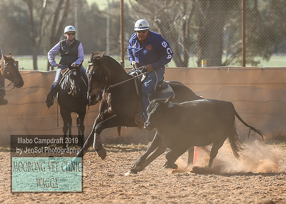 IllaboCampdraft1_2358